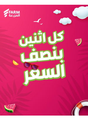 عروض كل يوم أثنين بنصف السعر، العدد الثاني