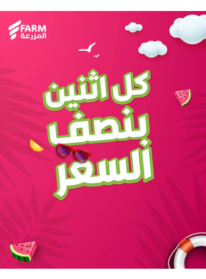 عروض كل يوم أثنين بنصف السعر، العدد الثاني
