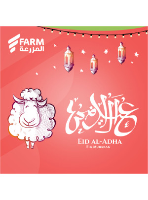 عروض عيد الأضحى، العدد الثاني