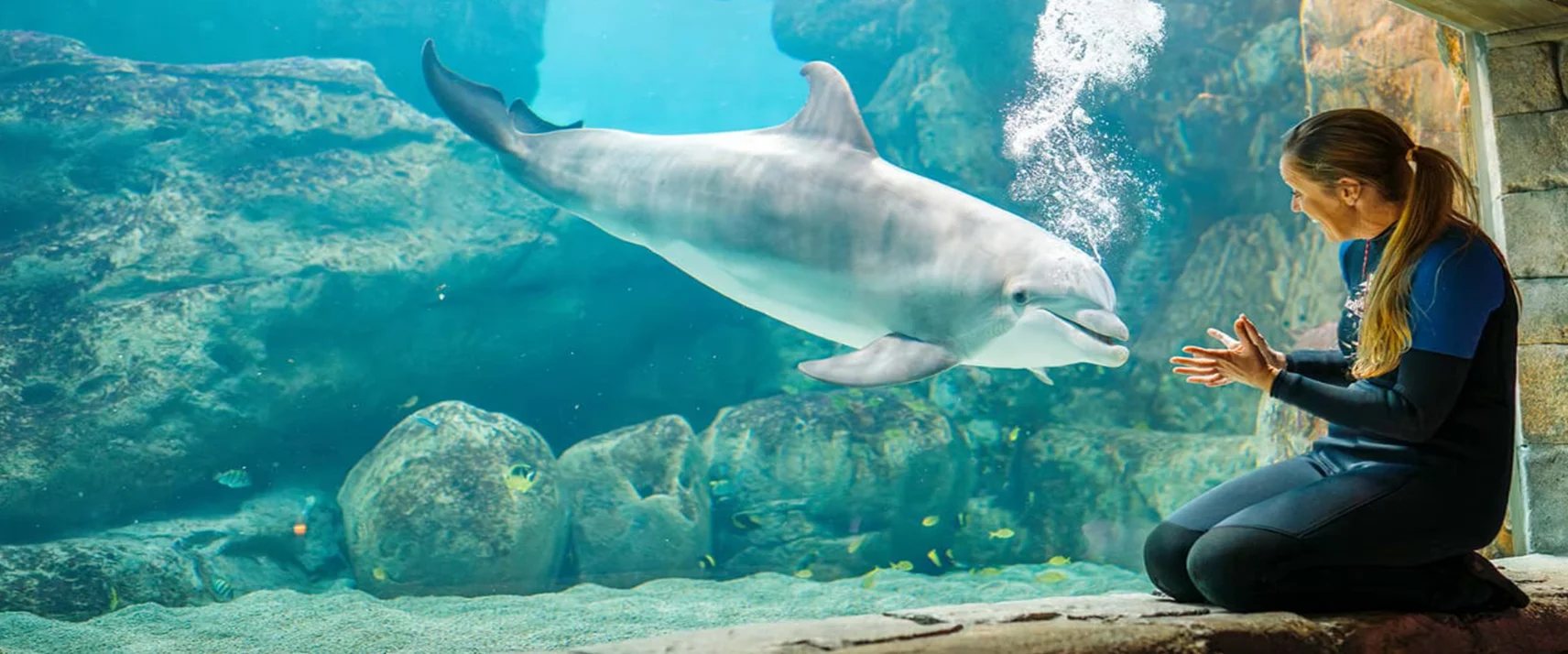 SeaWorld Abu Dhabi Animal Care Center veterinarians