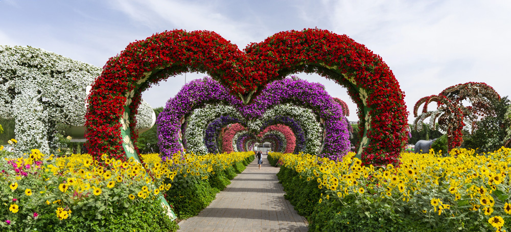 Dubai Miracle Garden