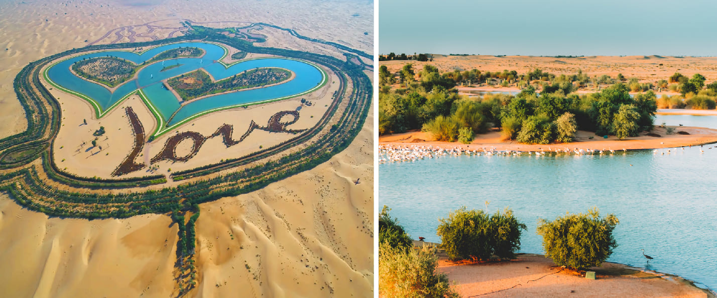 Al Qudra Lakes free desert lakes birdwatching cycling Dubai UAE