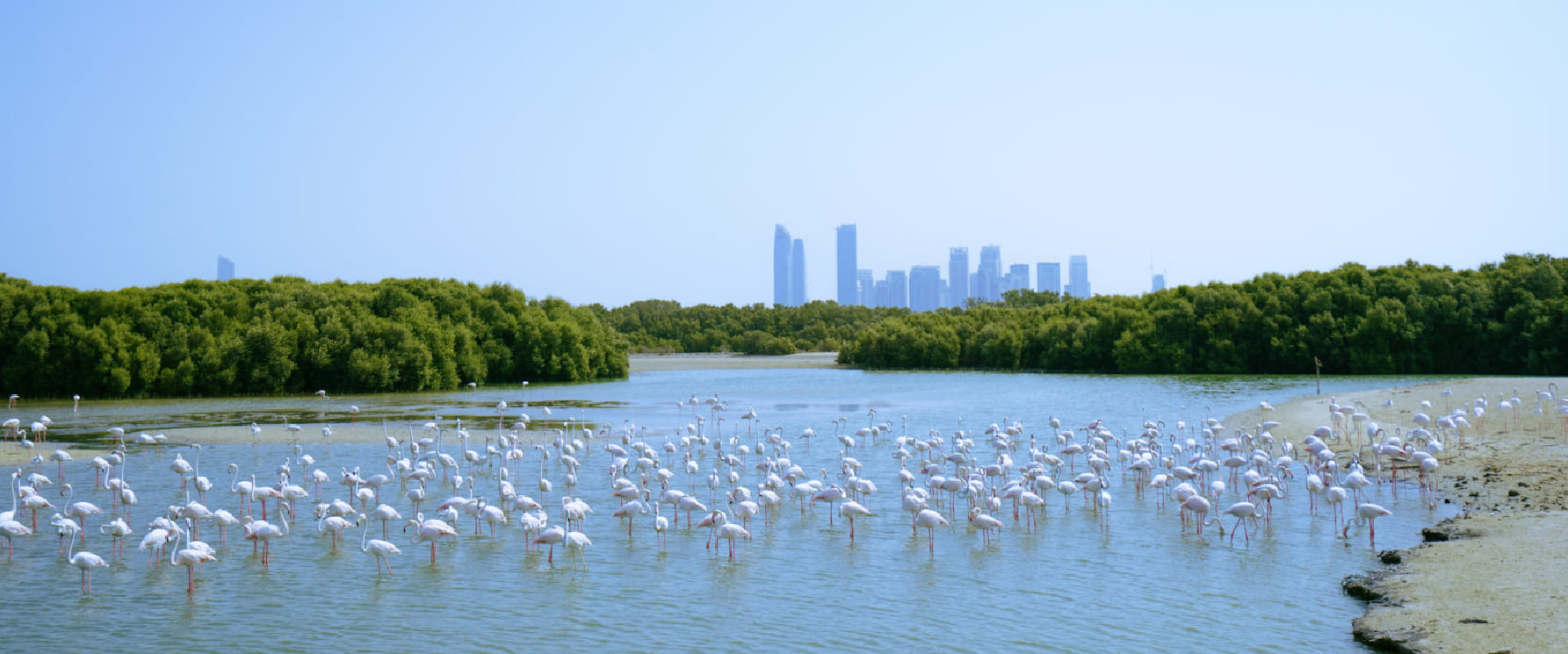 Ras Al Khor Wildlife Sanctuary free flamingo viewing hides near Dubai Creek