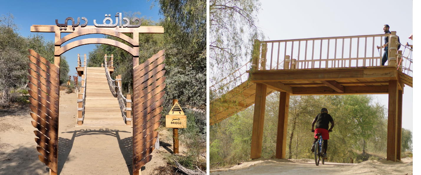 Mushrif Park mountain bike trail free highlight natural singletrack Dubai