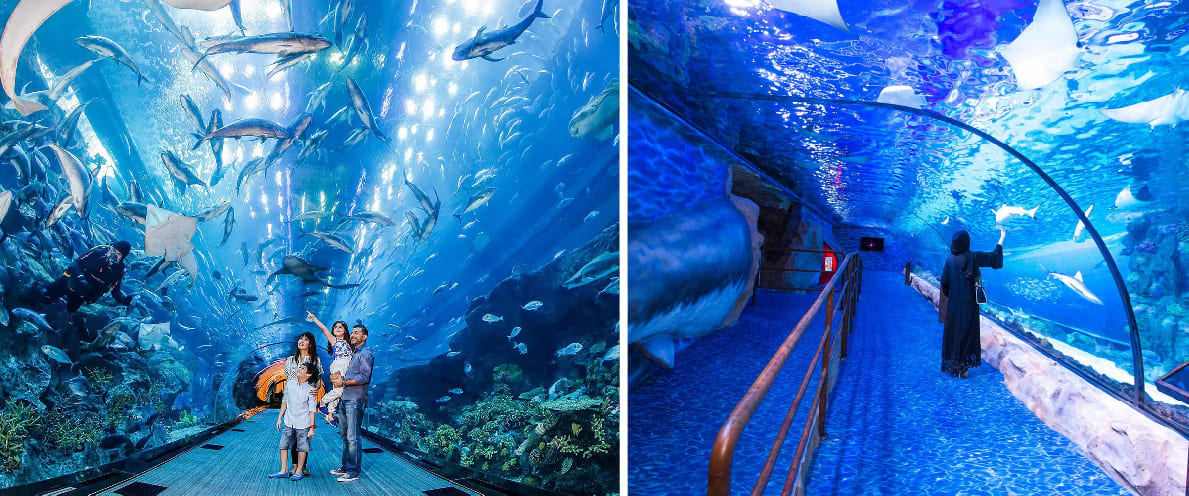 Dubai Aquarium free viewing panel in Dubai Mall with sharks and rays
