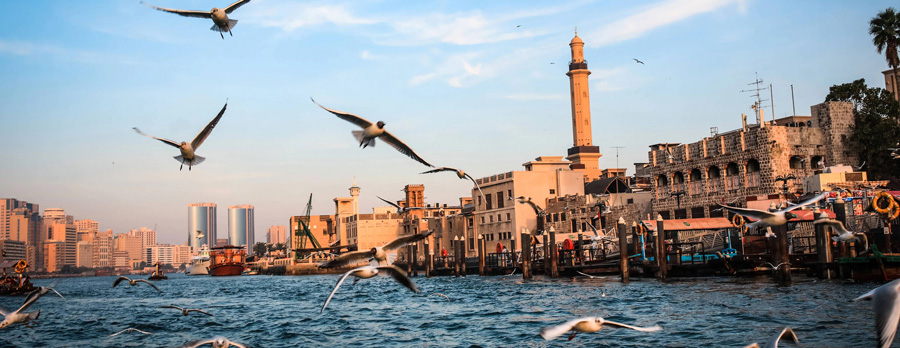 خور ديرة - تجربة ساحرة على ضفاف الخور