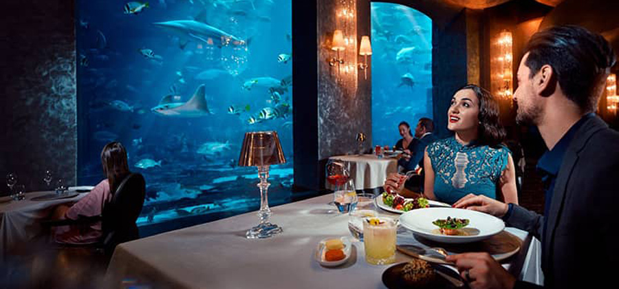 Feast on delectable cuisine