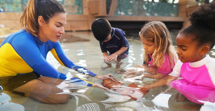 Conservation efforts and eco-friendly practices