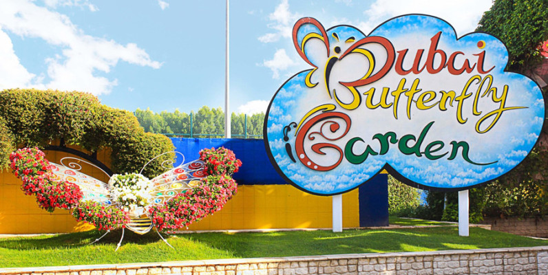 Fluttering Wonders: A Visual Feast at Dubai's Butterfly Garden