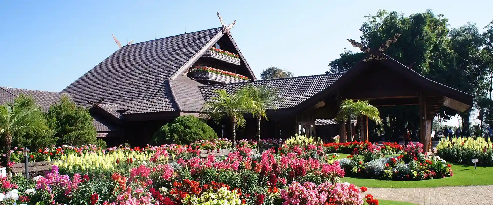 Doi Tung Colors of Doi Tung festival decorations