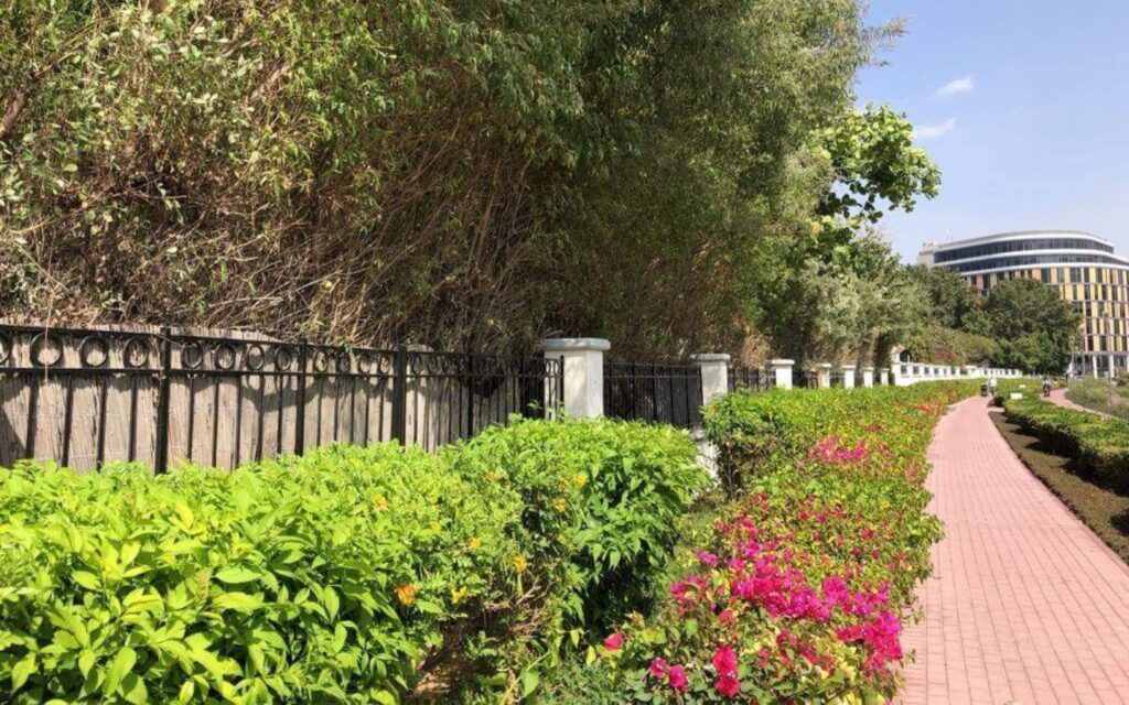 Green Concept soft landscaping and irrigation company in Dubai