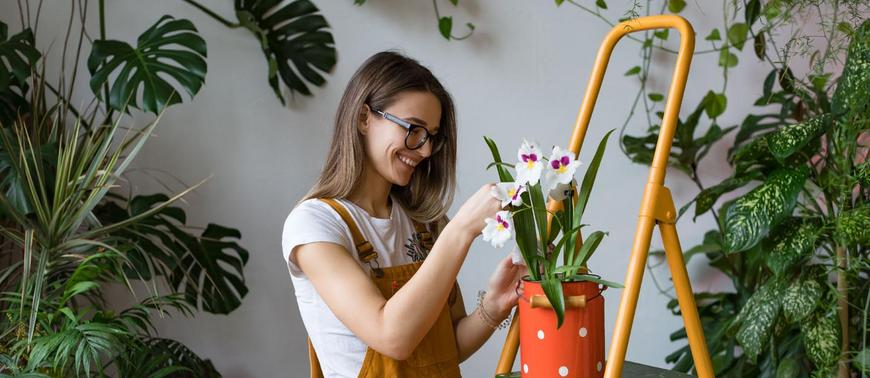 How to Care for Plants in Dubai Winter: Outdoor & Indoor Guide