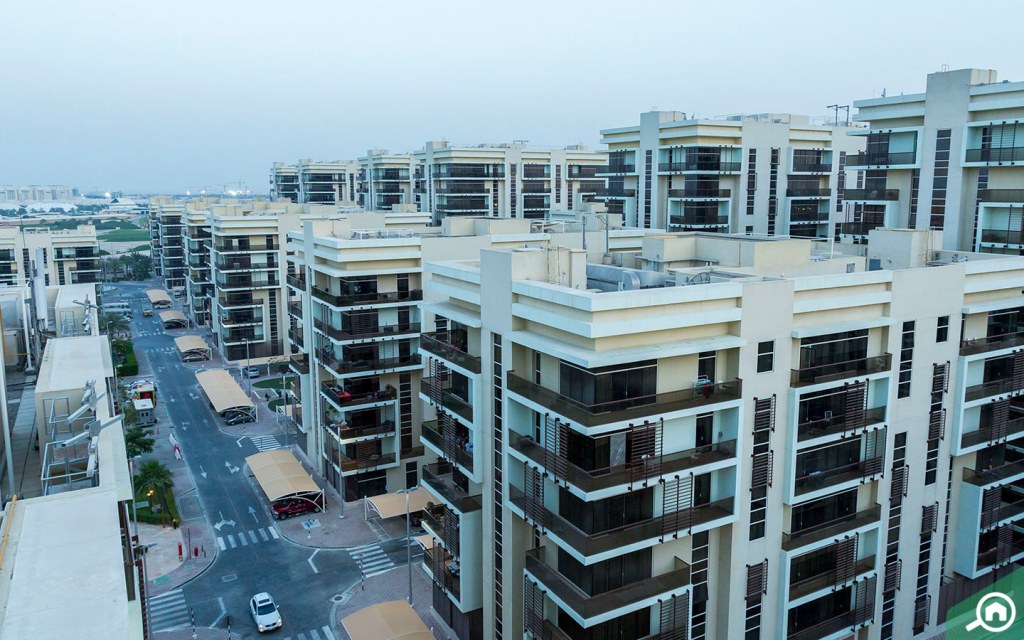 Apartment buildings in Khalifa City Abu Dhabi, a budget-friendly area for singles