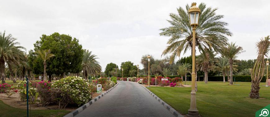 Sharjah National Park: Fees, Timings & Best Things to Do