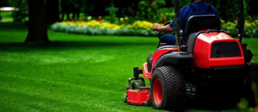 Top Landscaping Companies in Dubai to Create an Idyllic Oasis