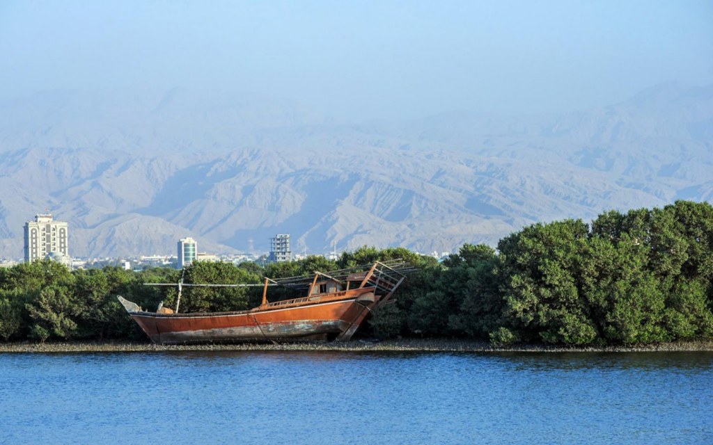 mangrove forest and calm waters in Ras Al Khaimah